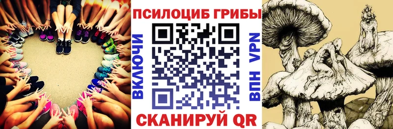 Галлюциногенные грибы Cubensis  магазин продажи   Мытищи 