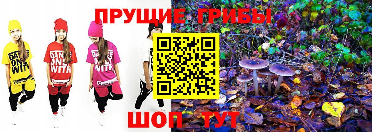 Галлюциногенные грибы ЛСД  Вход с VPN  Мытищи 