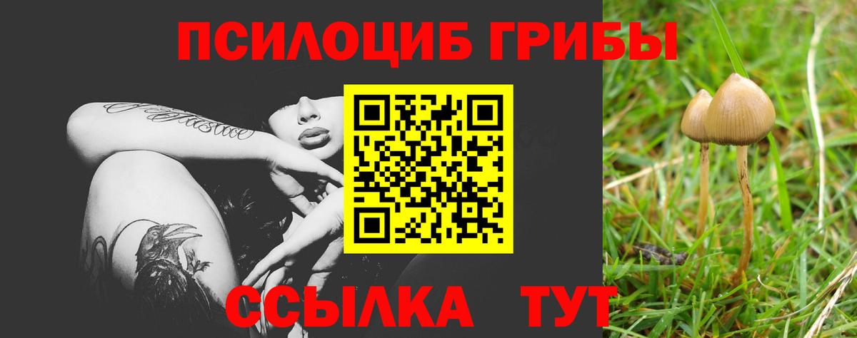 Псилоцибиновые грибы GOLDEN TEACHER Мытищи